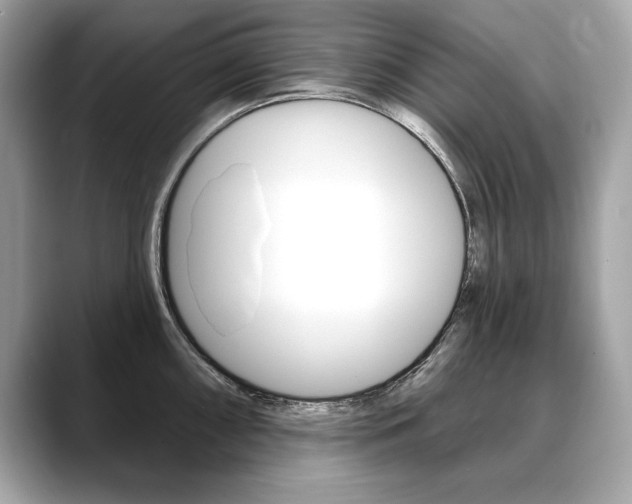 X0000088691098200705310953