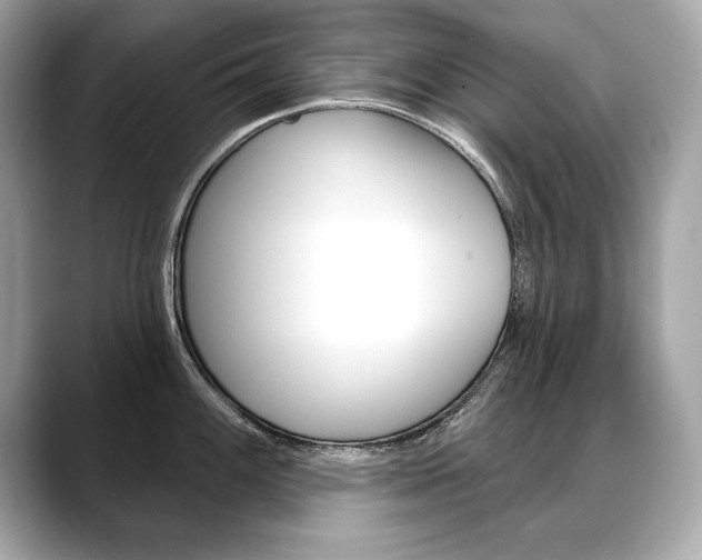 X0000088691100200705310953
