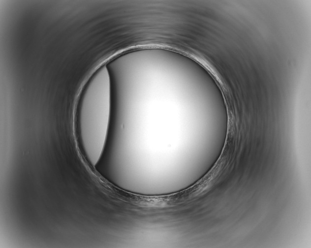 X0000088691101200705310953