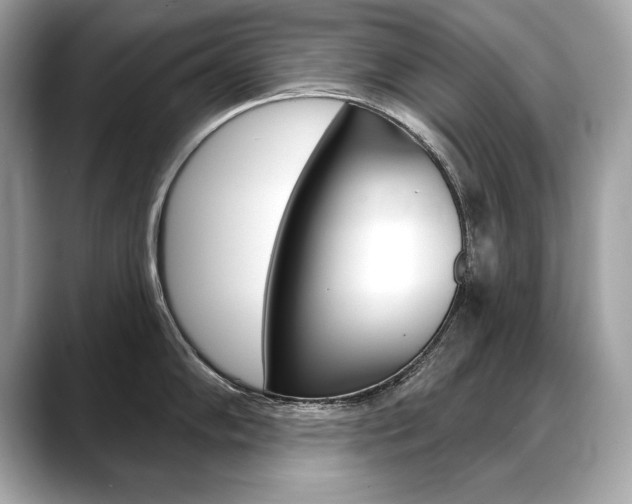 X0000088691102200705310953