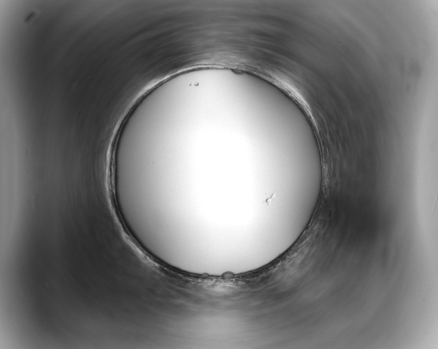 X0000088691103200705310953
