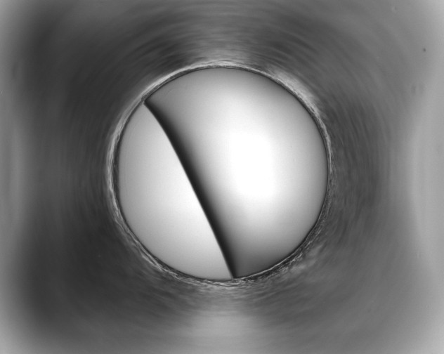 X0000088691104200705310953