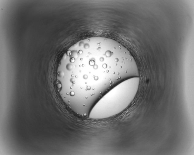 X0000088691105200705310953