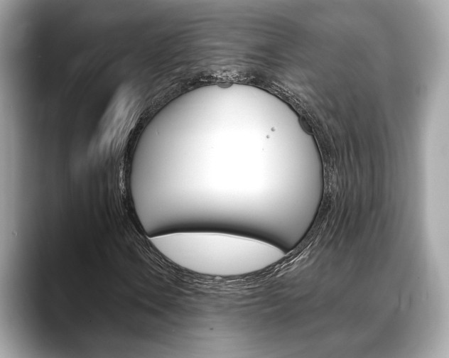 X0000088691106200705310953