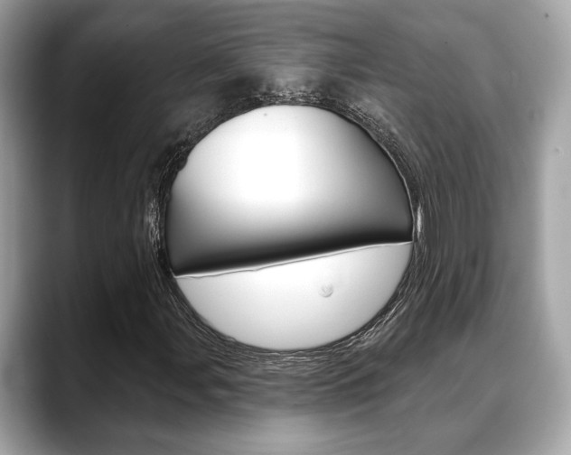 X0000088691107200705310953