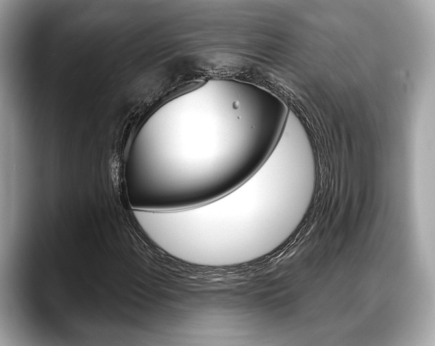X0000088691108200705310953