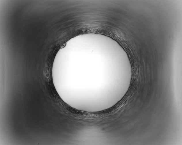 X0000088691109200705310953