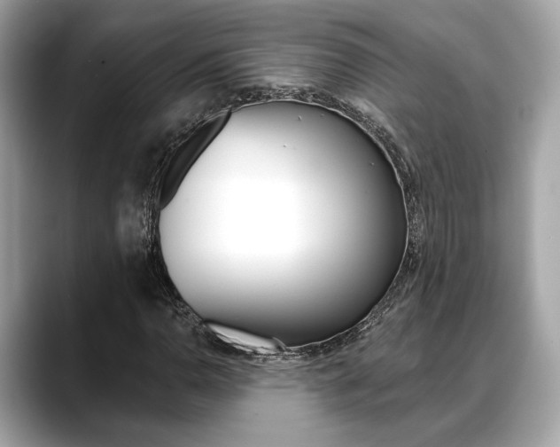 X0000088691110200705310953