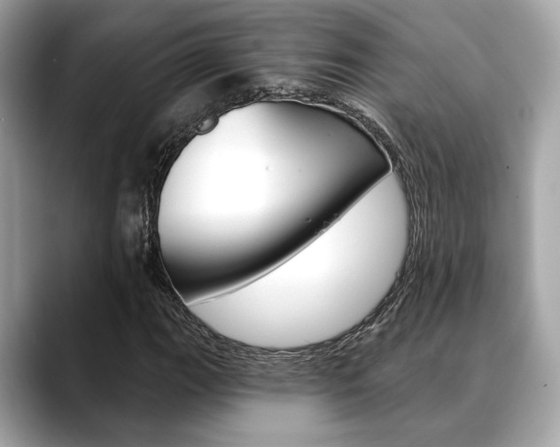 X0000088691111200705310953