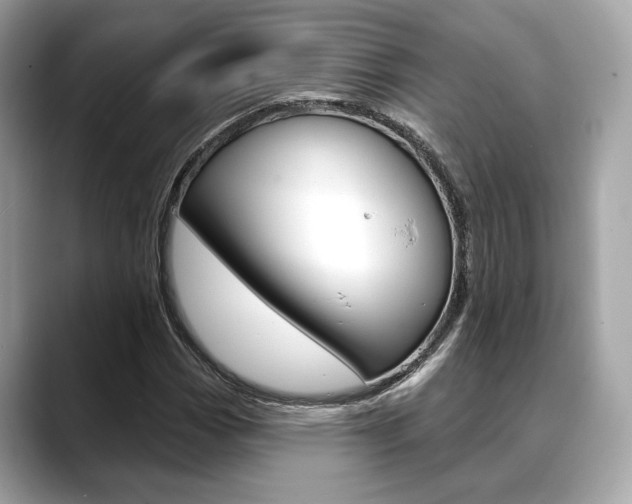 X0000088691113200705310953