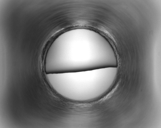X0000088691117200705310953