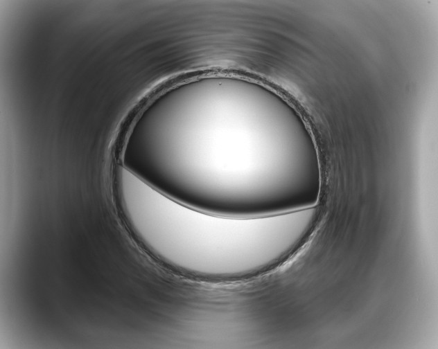 X0000088691118200705310953