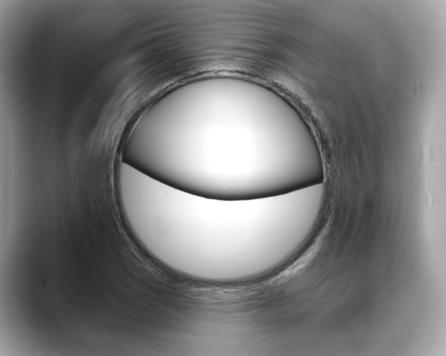 X0000088691121200705310953