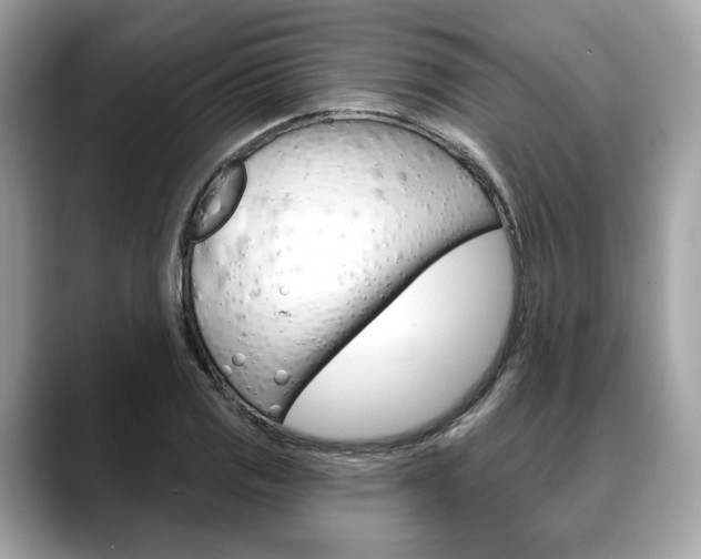 X0000088691125200705310953