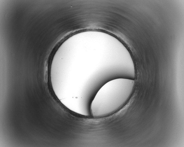 X0000088691126200705310953