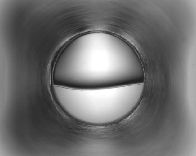 X0000088691127200705310953