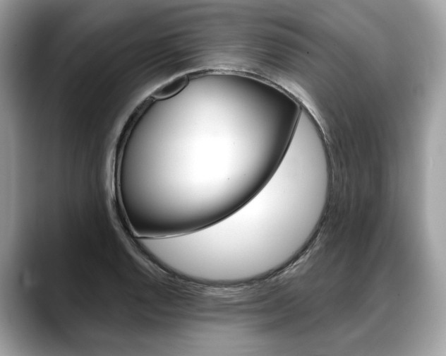 X0000088691128200705310953