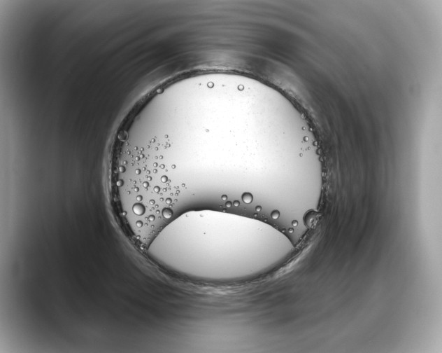 X0000088691130200705310953