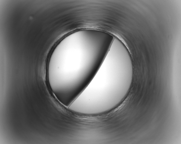 X0000088691131200705310953