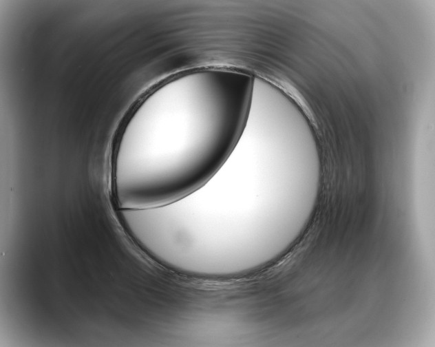 X0000088691132200705310953