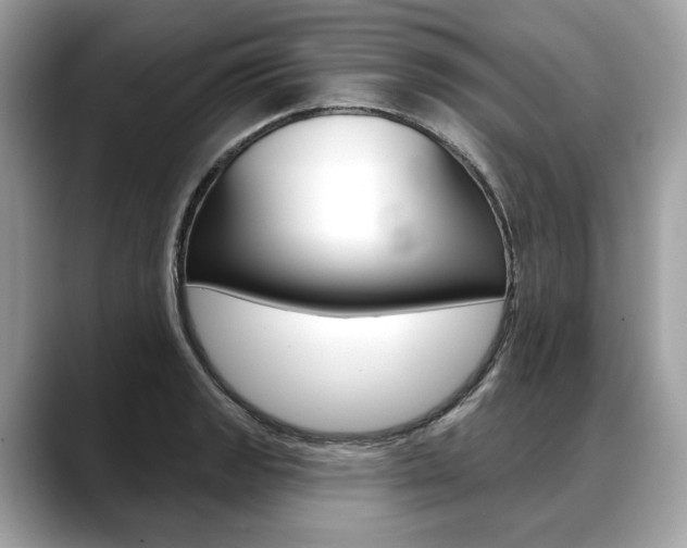 X0000088691133200705310953