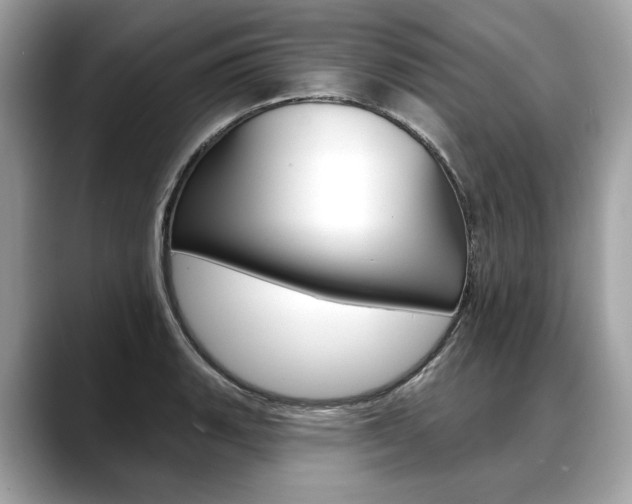 X0000088691135200705310953