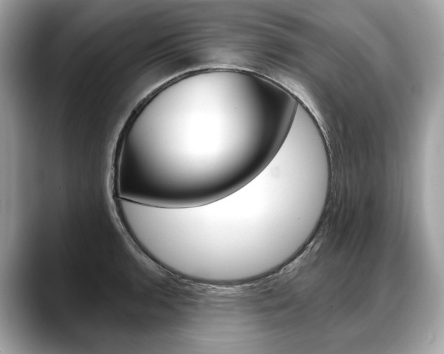 X0000088691136200705310953