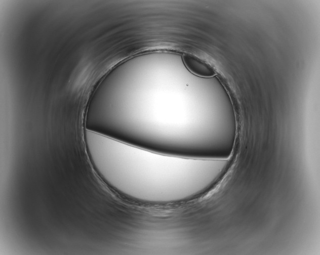 X0000088691137200705310953
