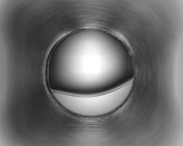 X0000088691138200705310953