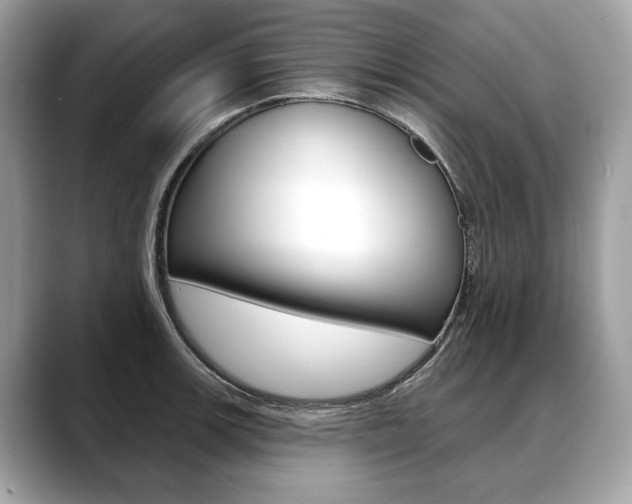X0000088691139200705310953