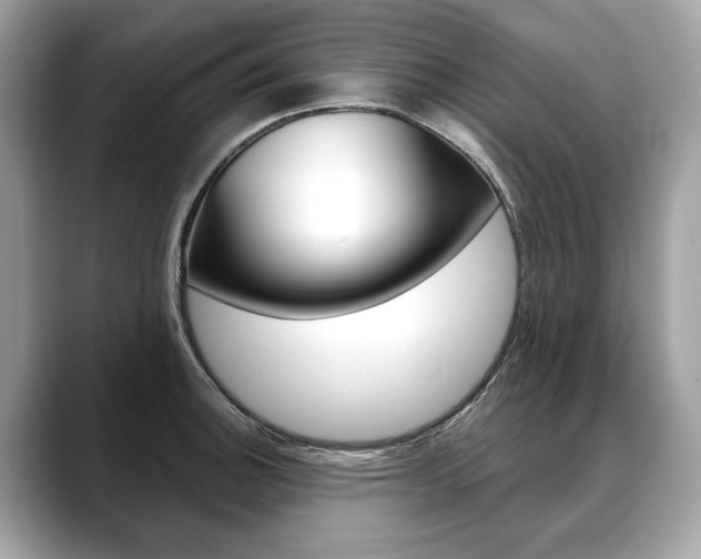 X0000088691140200705310953