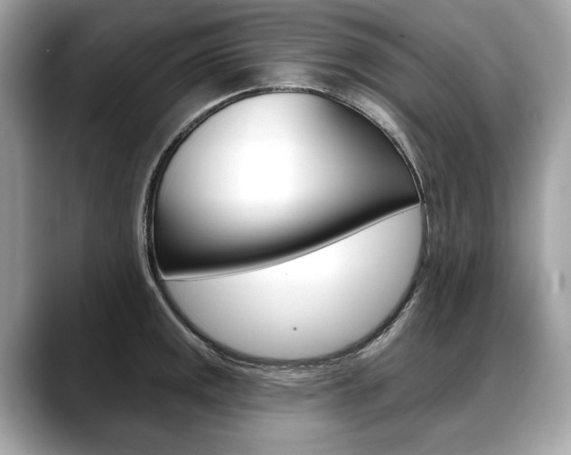 X0000088691141200705310953