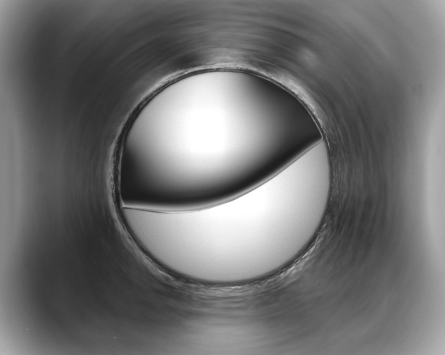 X0000088691142200705310953