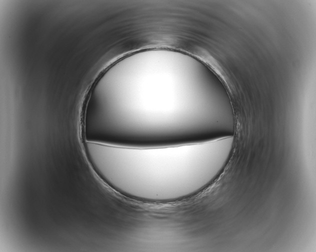 X0000088691143200705310953