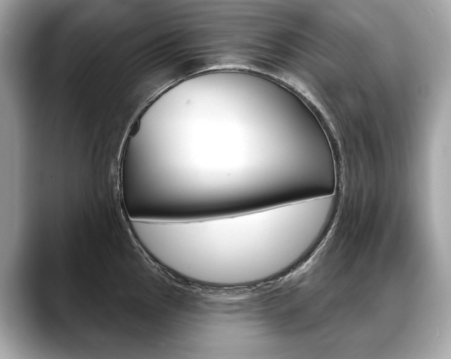 X0000088691145200705310953