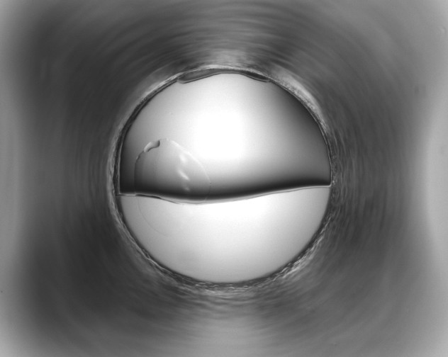 X0000088691146200705310953