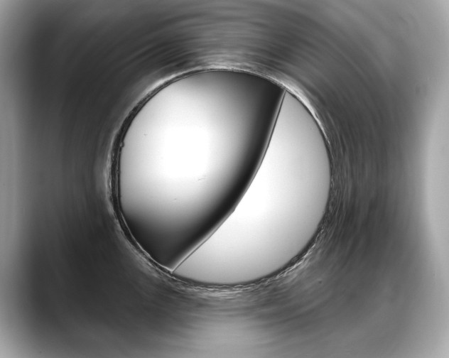 X0000088691147200705310953