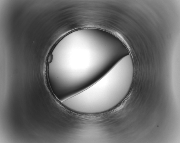X0000088691149200705310953