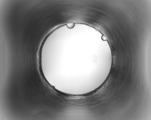 X0000088691150200705310953