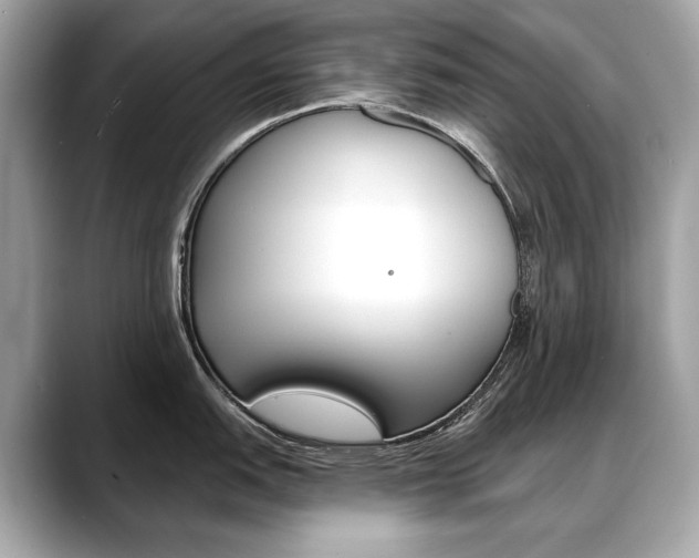 X0000088691151200705310953