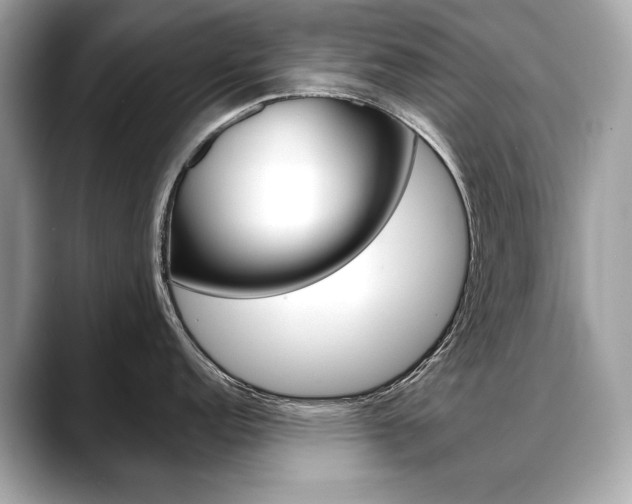 X0000088691152200705310953