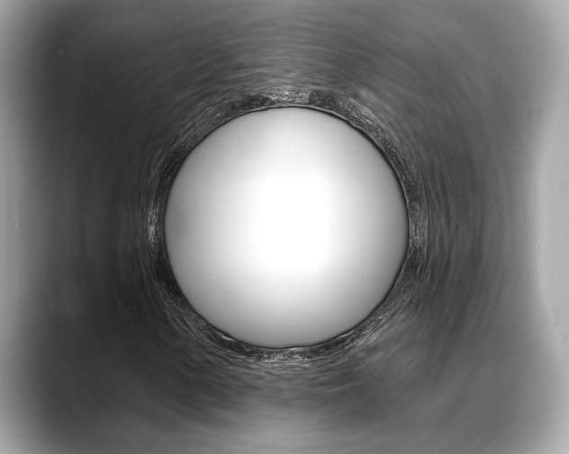 X0000088691154200705310953