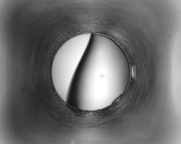 X0000088691155200705310953