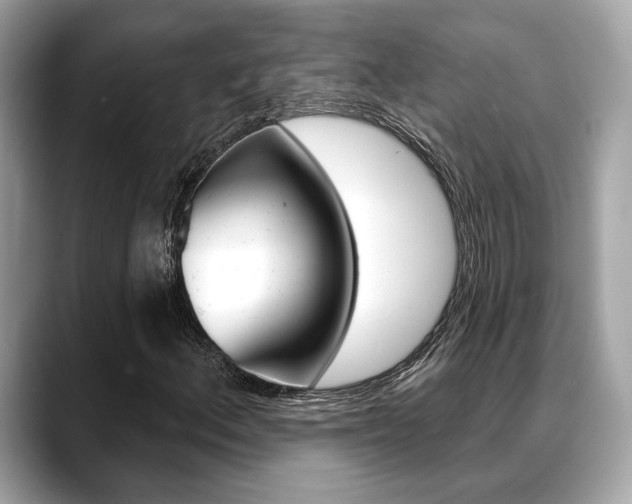 X0000088691156200705310953