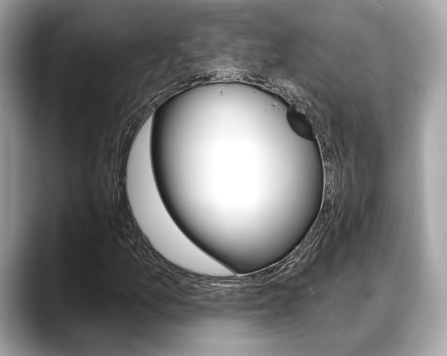 X0000088691157200705310953