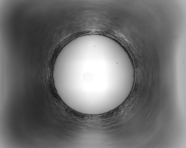 X0000088691158200705310953