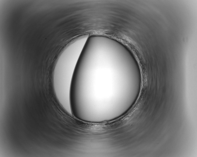 X0000088691161200705310952