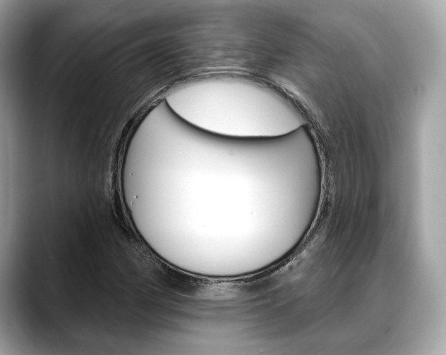 X0000088691162200705310952