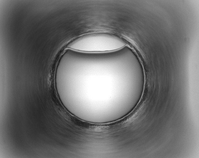 X0000088691163200705310952