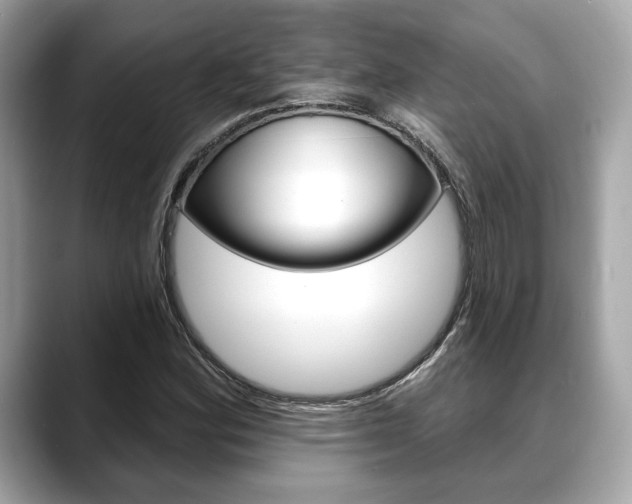X0000088691164200705310952